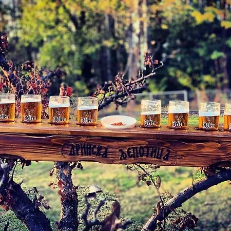 Ferienhaus Drinska Ljepotica *