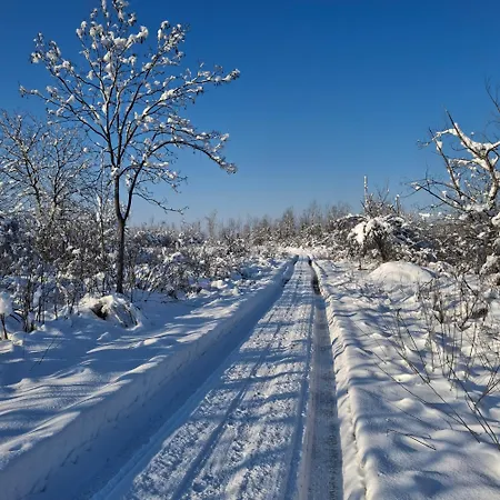 Drinska Ljepotica Ferienhaus
