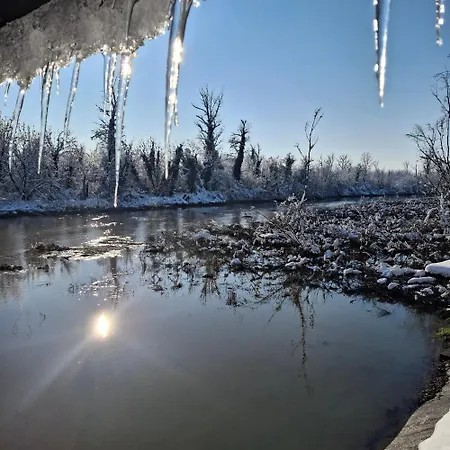 Drinska Ljepotica *